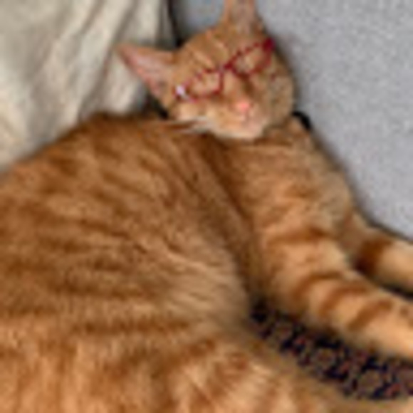 Meet your Posher, Janna - Picture 1 of 1